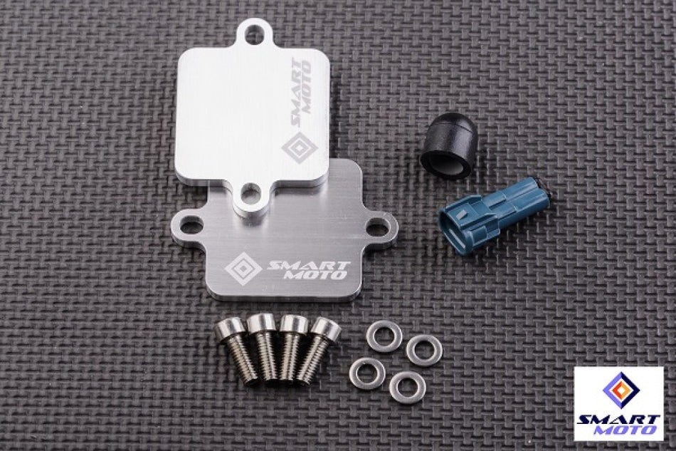 Yamaha MT09 2014-18 Complete PAIR/AIS Eliminator Kit with Block Off Plates
