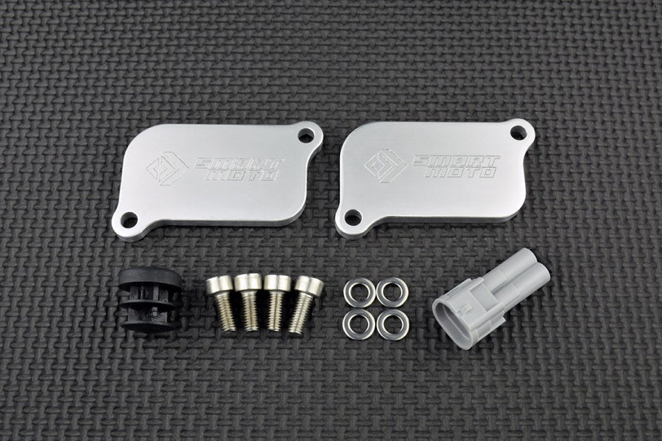 Ducati AIS Valve Removal Kit with Block Off Plates - PLE-114